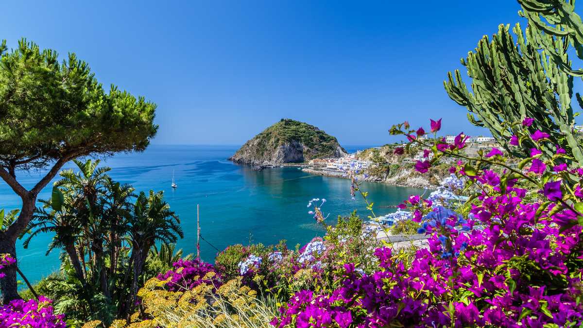 Come arrivare a Ischia: voli low cost, traghetti, bus e noleggio auto 2026